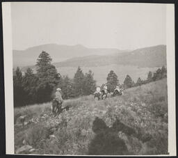 Group on horses in the southwest